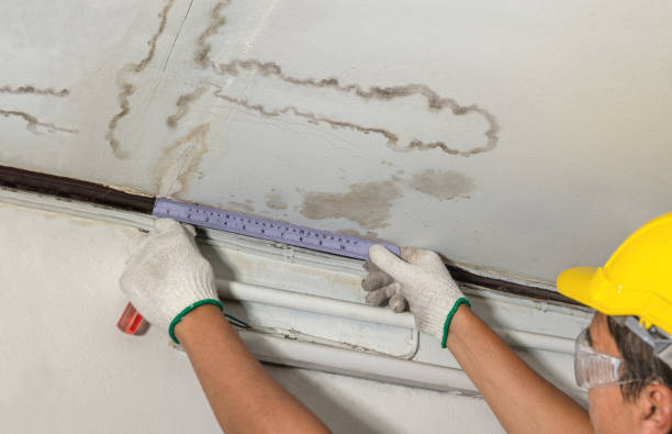 Reliable Structural Drying contractor in Mount Pleasant, NC by Water Damage Irwin